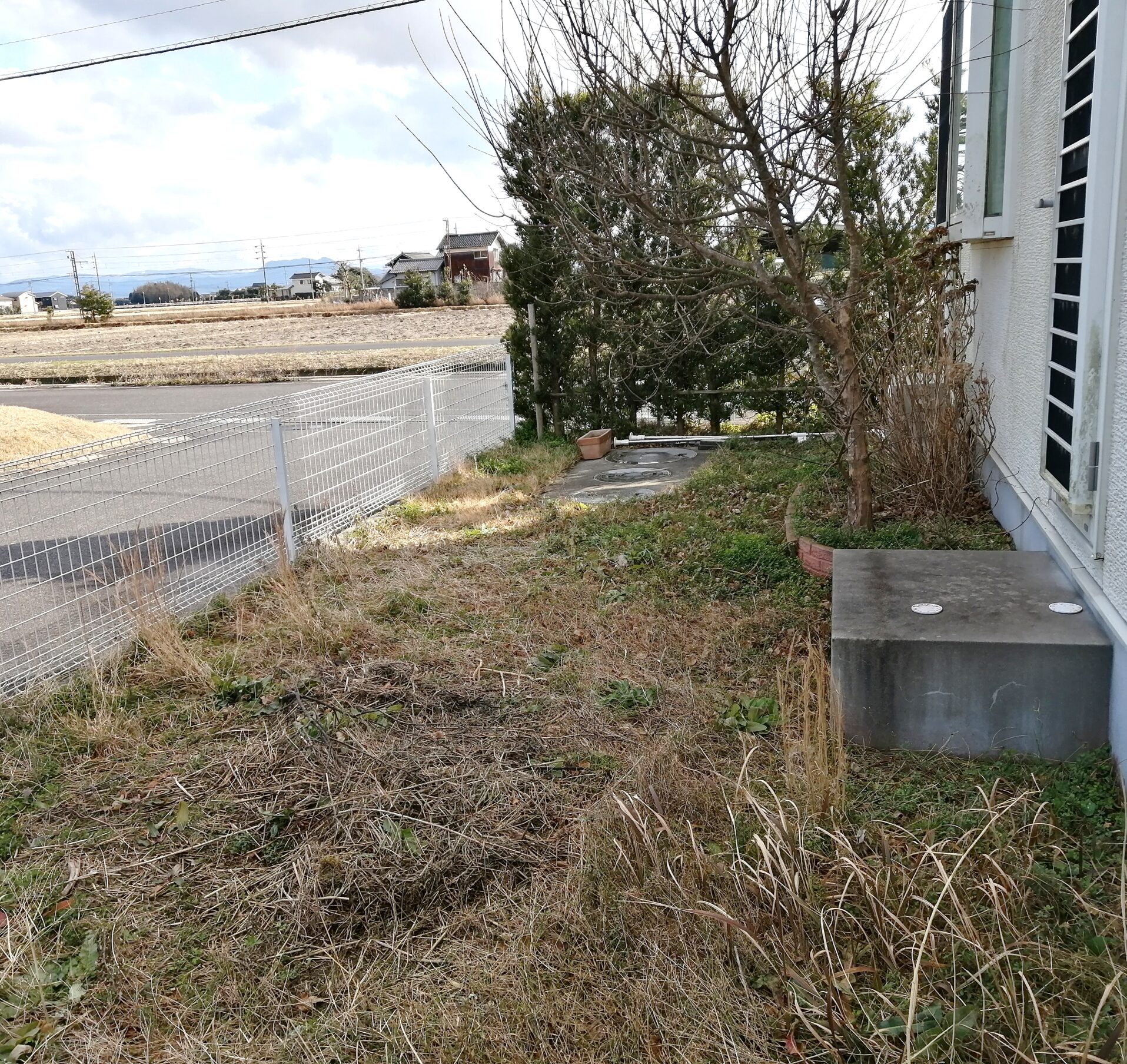 益田市 外構リフォーム 雑草が茂った庭の施工前の様子