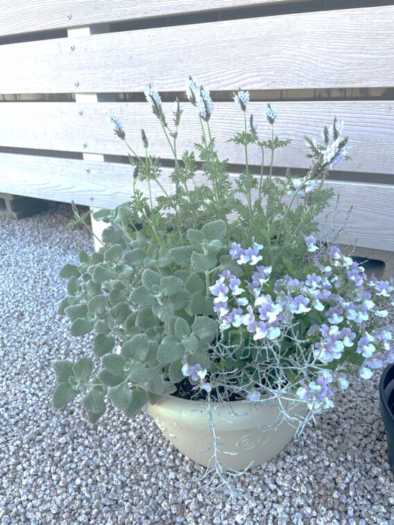 益田市 外構デザイン 鉢植えの植栽で彩る玄関まわり